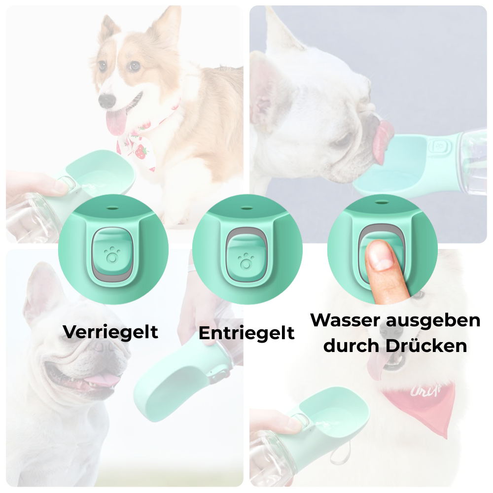 PawSip – Die Trinkflasche für Hunde & Katzen