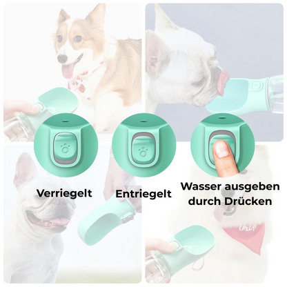 PawSip – Die Trinkflasche für Hunde & Katzen