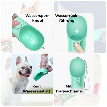 PawSip – Die Trinkflasche für Hunde & Katzen