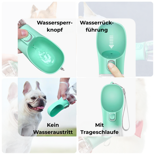 PawSip – Die Trinkflasche für Hunde & Katzen